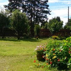 Комплекс отдыха Сосны, Питкярантский район, Республика Карелия