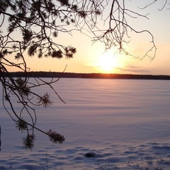 Гостевой дом Вуара, Костомукша, Республика Карелия