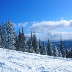 Гостиничный комплекс Зима-Лето, Медвежонок, Кемеровская область