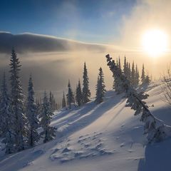 Гостиничный комплекс Зима-Лето, Медвежонок, Кемеровская область