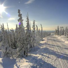 Гостиничный комплекс Зима-Лето, Медвежонок, Кемеровская область