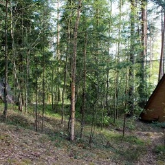 База отдыха Молодёжное, Приозерский район, Ленинградская область