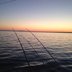 База отдыха Чистая Карелия, Медвежьегорский район, Республика Карелия