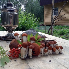 База отдыха Чистая Карелия, Медвежьегорский район, Республика Карелия