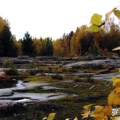 Гостевой дом Шуезерский приют, Беломорский район, Республика Карелия