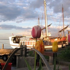 Коттедж Морской конёк, Петрозаводск, Республика Карелия