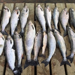 Рыболовная база На Онежском озере, Прионежский район, Республика Карелия