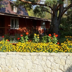 Гостевой дом Смоленка, Островский район, Псковская область