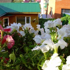 Гостевой дом Ивановский, Чемальский район, Республика Алтай