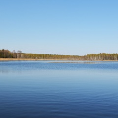 Гостиница Имение Алтунъ, Новоржевский район, Псковская область