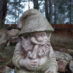 Гостевой дом Смоленка, Островский район, Псковская область