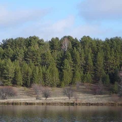 Рыболовно-охотничья база У Ильича, Кузнецкий район, Пензенская область
