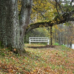 Мини-отель Соседи Пушкина, Пушкиногорский район, Псковская область