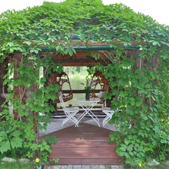 Усадьба Лесной оазис, Псковский район, Псковская область