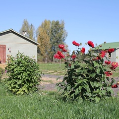 Мотель Гостевой домик, Невельский район, Псковская область