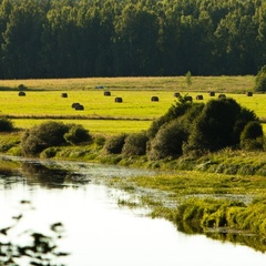 Усадьба Тригорская, 1, Пушкиногорский район, Псковская область