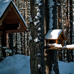 Усадьба Лесной оазис, Псковский район, Псковская область