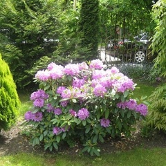 Гостиница Обертайх, Калининград, Калининградская область