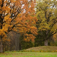 Усадьба Тригорская, 1, Пушкиногорский район, Псковская область