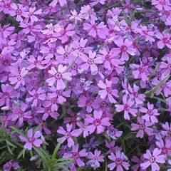 Гостиница Обертайх, Калининград, Калининградская область