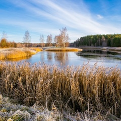 Усадьба Тригорская, 1, Пушкиногорский район, Псковская область
