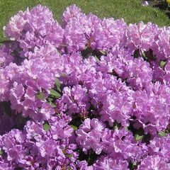 Гостиница Обертайх, Калининград, Калининградская область