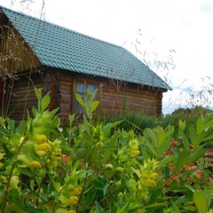 База отдыха Озеро светлое, Тобольский район, Тюменская область