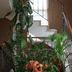 База отдыха Ретротур, Орёл, Орловская область