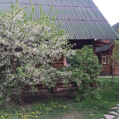 Турбаза Частная дача, Волгоград, Волгоградская область