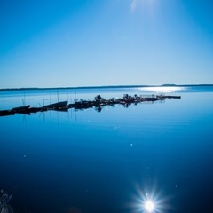 База отдыха Озеро светлое, Тобольский район, Тюменская область