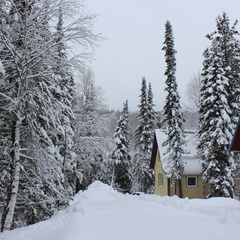 Гостевой дом Кедровый, Таштагольский район, Кемеровская область