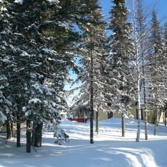 Гостевой дом Кедровый, Таштагольский район, Кемеровская область