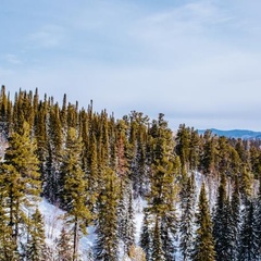 Отель Снежный, Таштагольский район, Кемеровская область