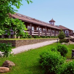 Гостиница Арина Р, Пушкиногорский район, Псковская область