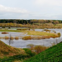 Гостиница Арина Р, Пушкиногорский район, Псковская область