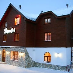 Отель AlpenHof, Таштагольский район, Кемеровская область