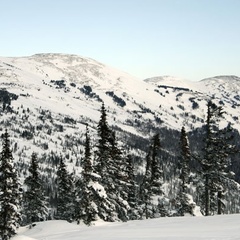 Отель AlpenHof, Таштагольский район, Кемеровская область