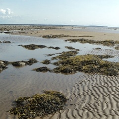 Турбаза Каменный ручей, Архангельская область