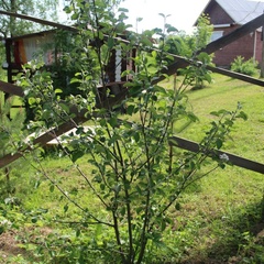 Центр отдыха Леново, Вельский район, Архангельская область