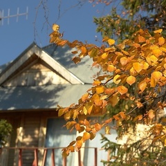 База отдыха Яуренс, Апатиты, Мурманская область