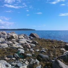 База отдыха Травяная, Кандалакшский район, Мурманская область