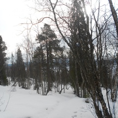 База отдыха Арктика, Кольский район, Мурманская область