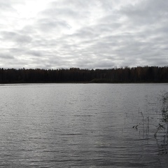 Охотничье-рыболовная база Берлога, Пошехонский район, Ярославская область