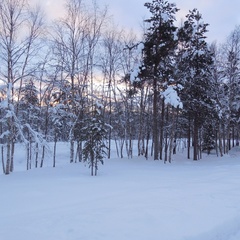 База отдыха Уют, Кольский район, Мурманская область