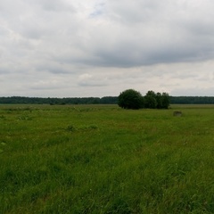 Спортивно-оздоровительный комплекс Подолино, Ярославский район, Ярославская область