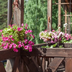 База отдыха Рыбинка, Некоузский район, Ярославская область