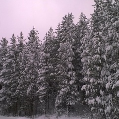 База отдыха Травяная, Кандалакшский район, Мурманская область