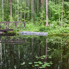 База отдыха Рыбинка, Некоузский район, Ярославская область