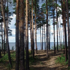 База отдыха Рыбинка, Некоузский район, Ярославская область
