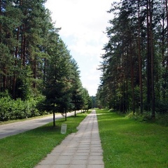 Санаторий Золотой колос, Некрасовский район, Ярославская область